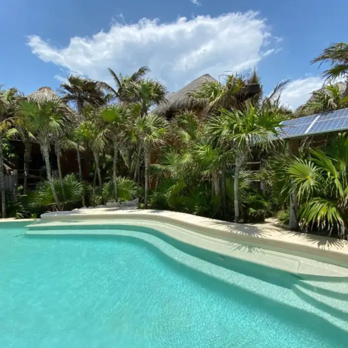 pool lined with palms at Suenos Tulum