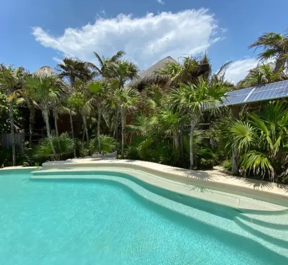 pool lined with palms at Suenos Tulum