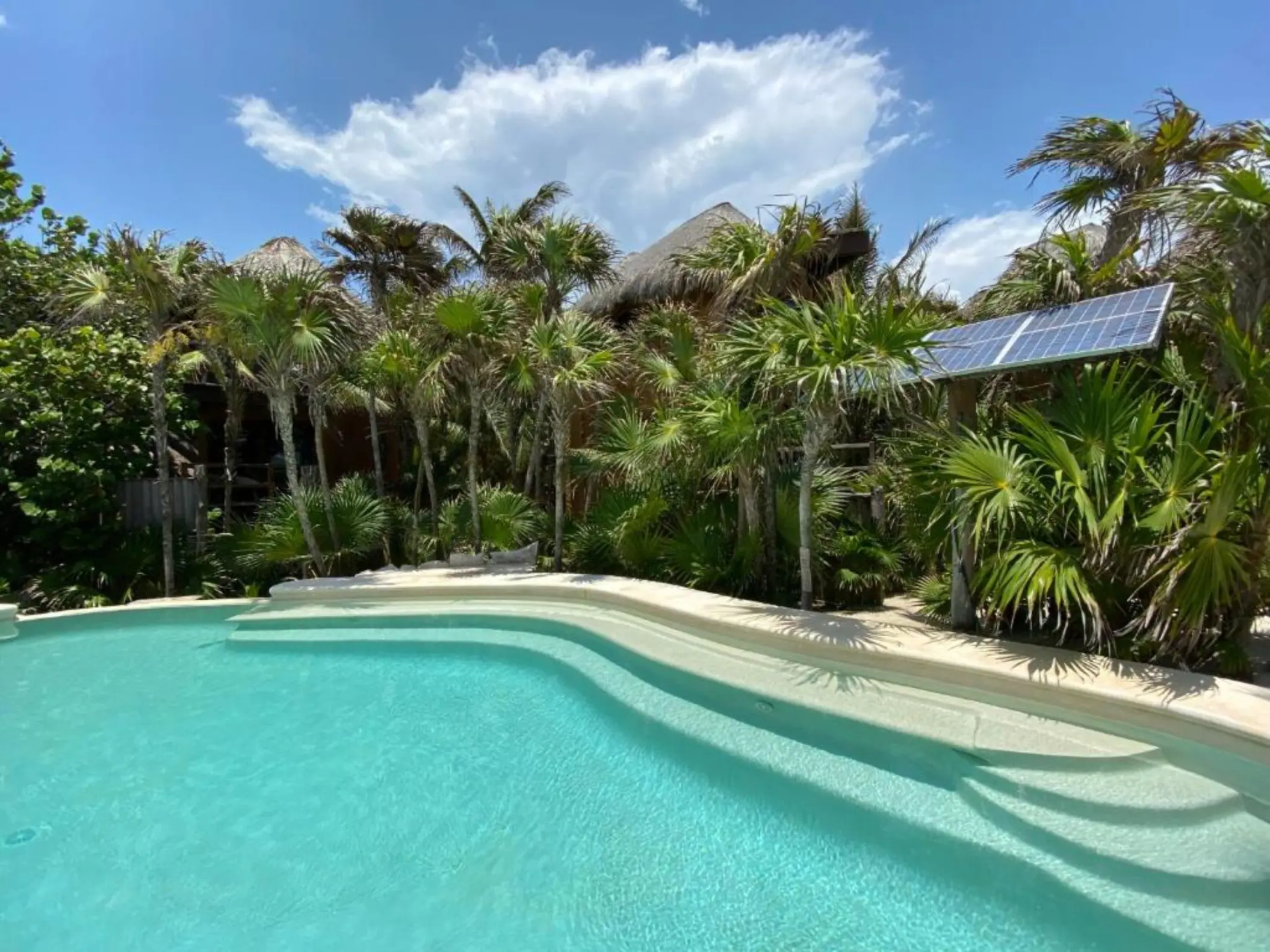 pool lined with palms at Suenos Tulum