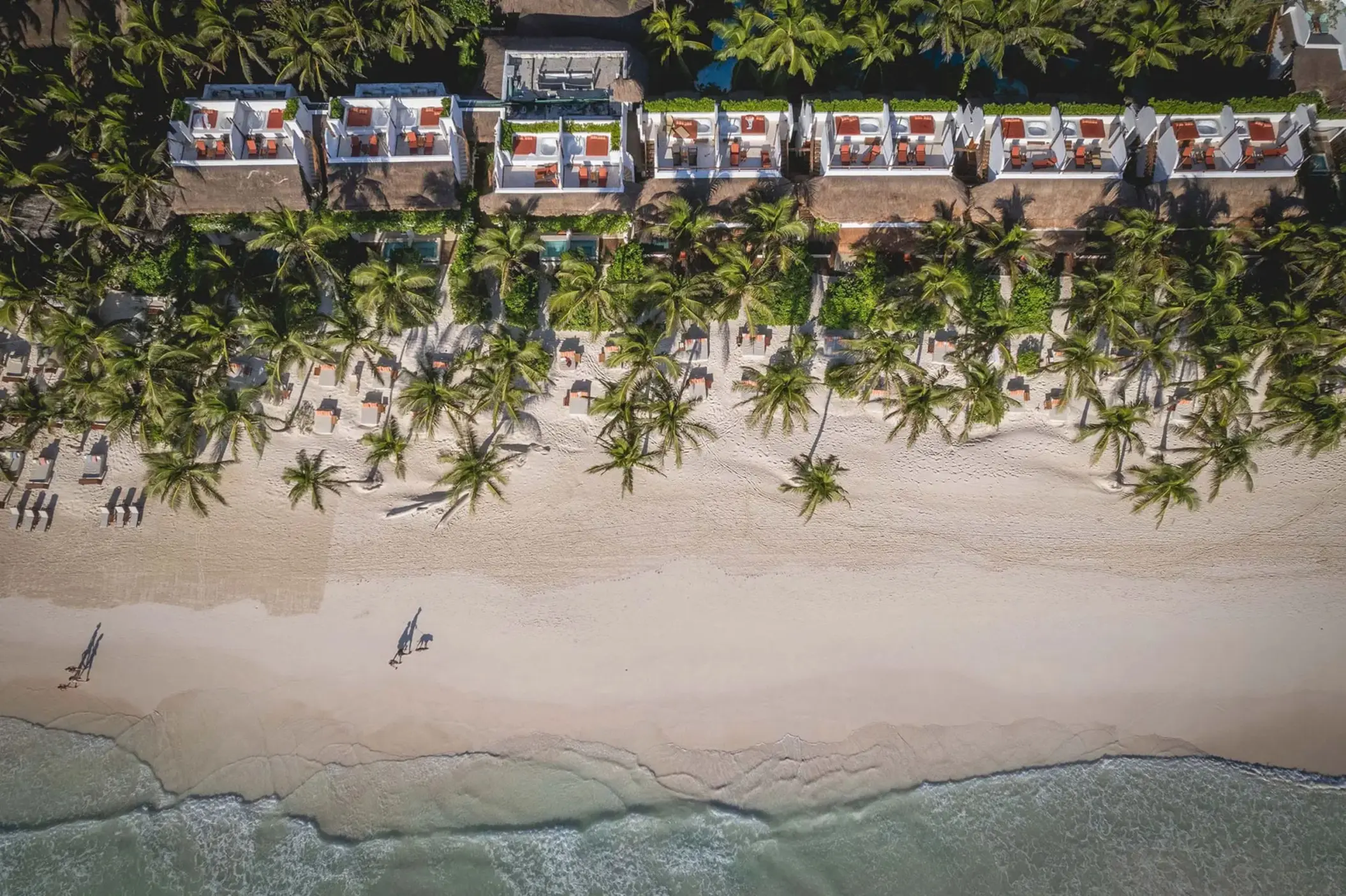 the beach tulum aerial view with its beach and buildings and palms