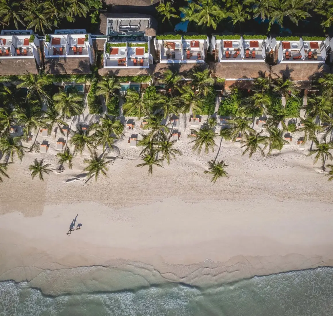 the beach tulum aerial view with its beach and buildings and palms