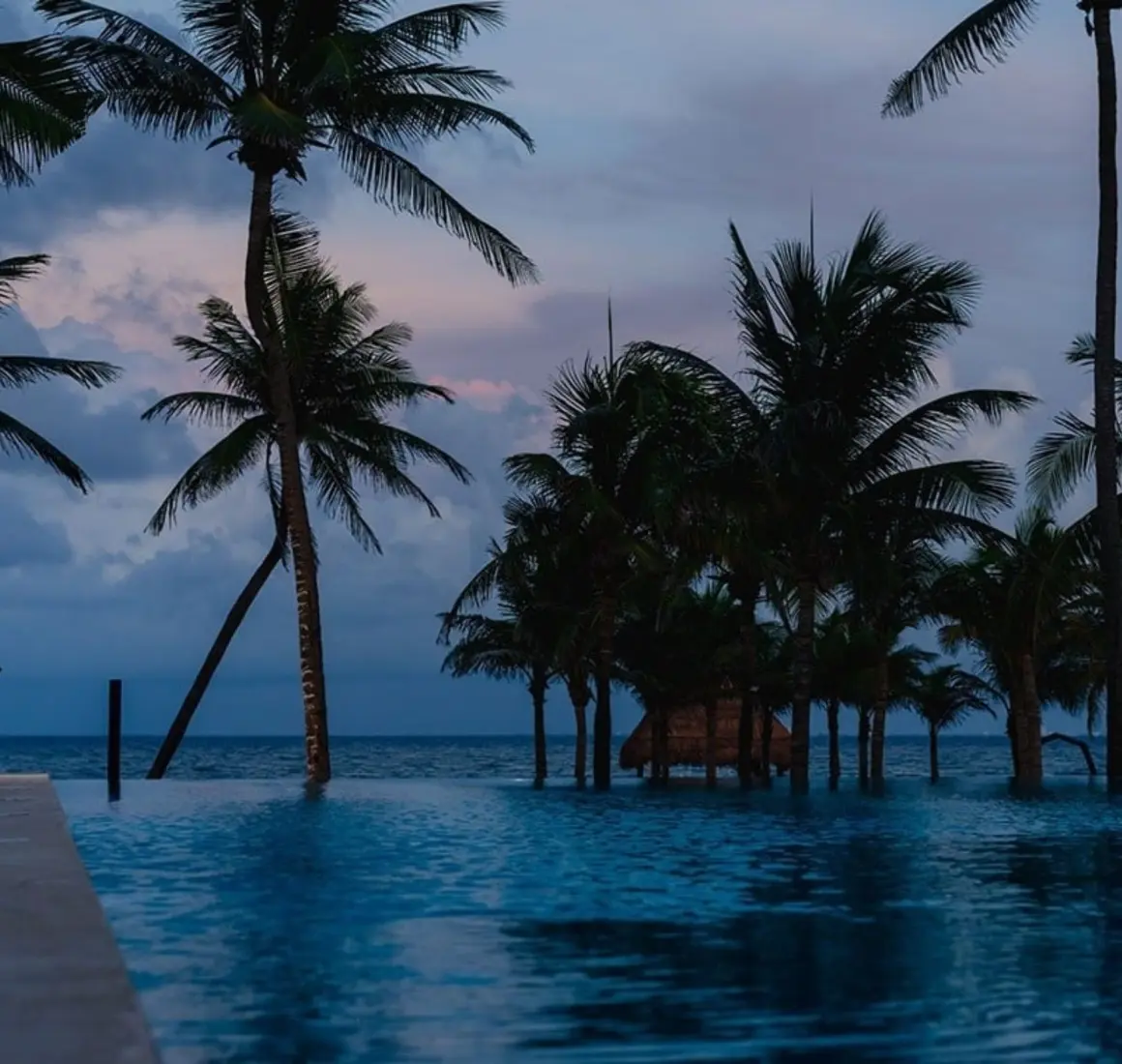 A romantic view of a bride and groom embracing at dusk by an infinity pool overlooking the ocean with palm trees silhouetted against the colorful sky.