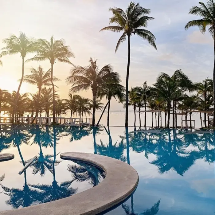 A panoramic view of a large swimming pool surrounded by numerous palm trees, with reflections on the calm water and the sky visible in the distance.