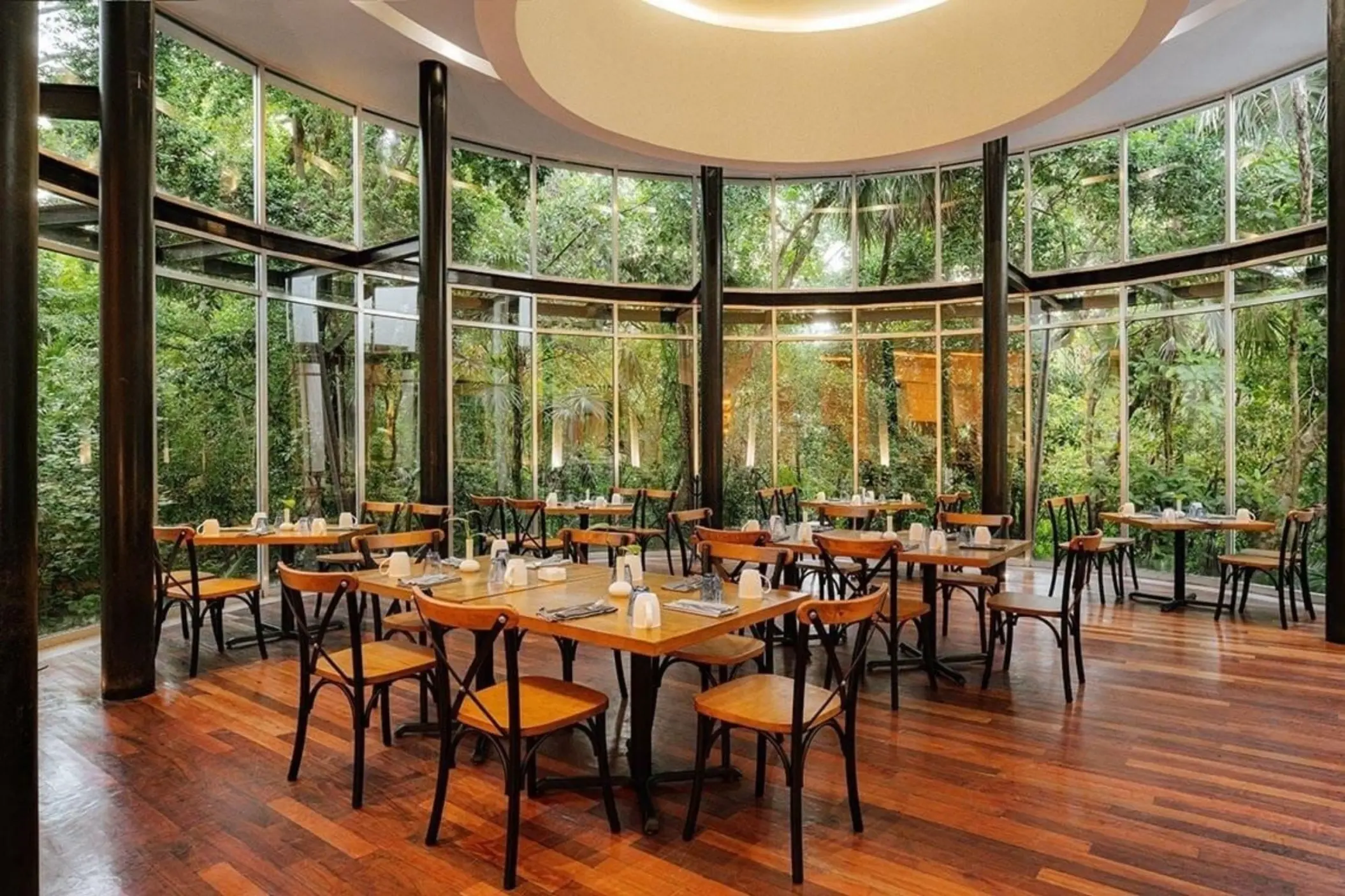 A bright and airy restaurant with floor-to-ceiling windows overlooking lush greenery, featuring modern wooden tables and chairs, and warm lighting.