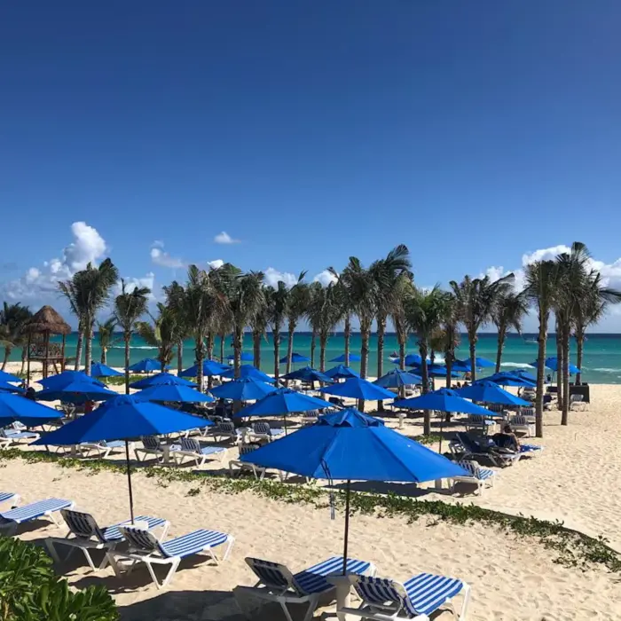 A pristine white sand beach at The Reef Playacar, lined with numerous blue umbrellas, lounge chairs, and palm trees facing the turquoise ocean.