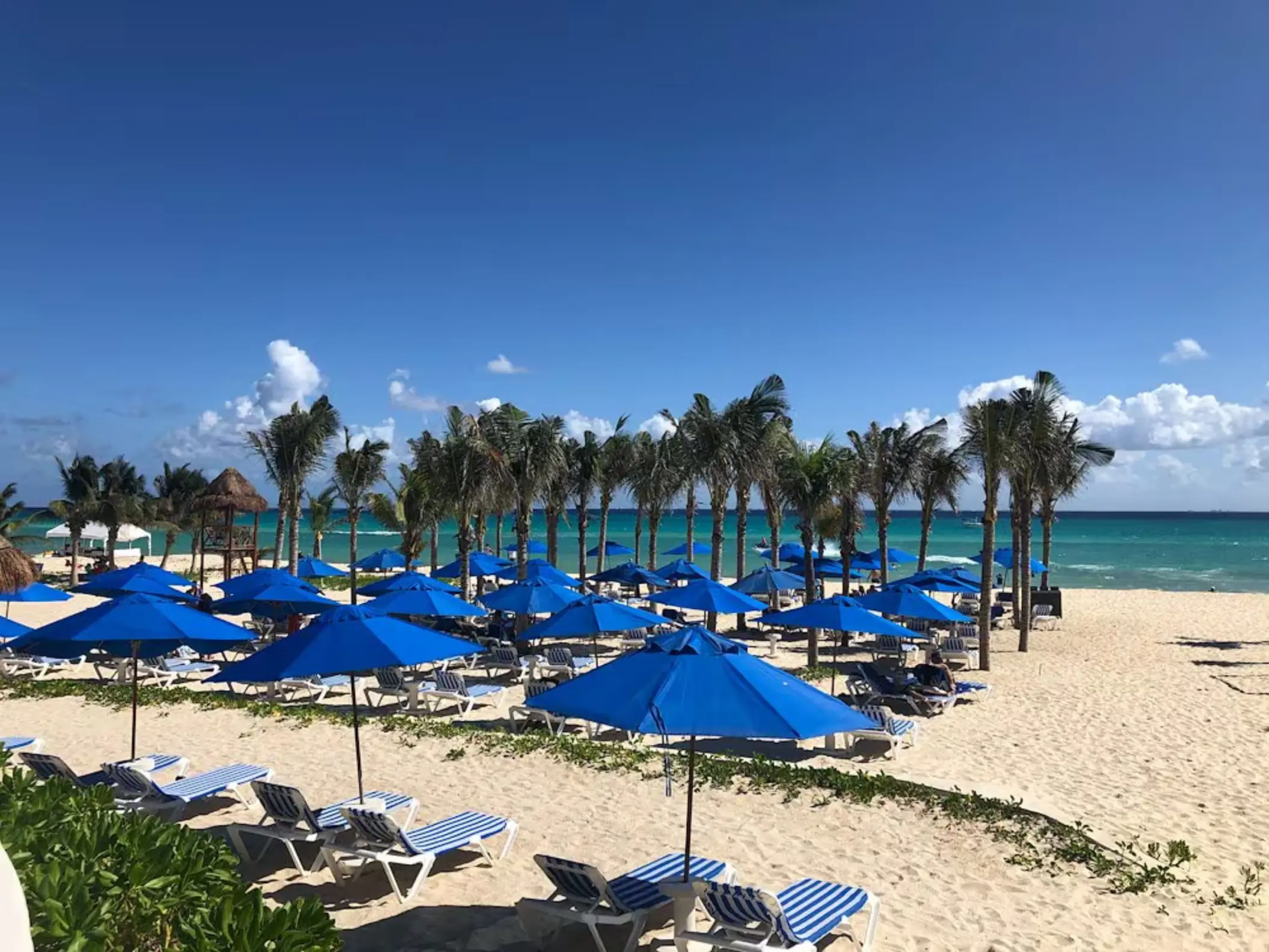 A pristine white sand beach at The Reef Playacar, lined with numerous blue umbrellas, lounge chairs, and palm trees facing the turquoise ocean.