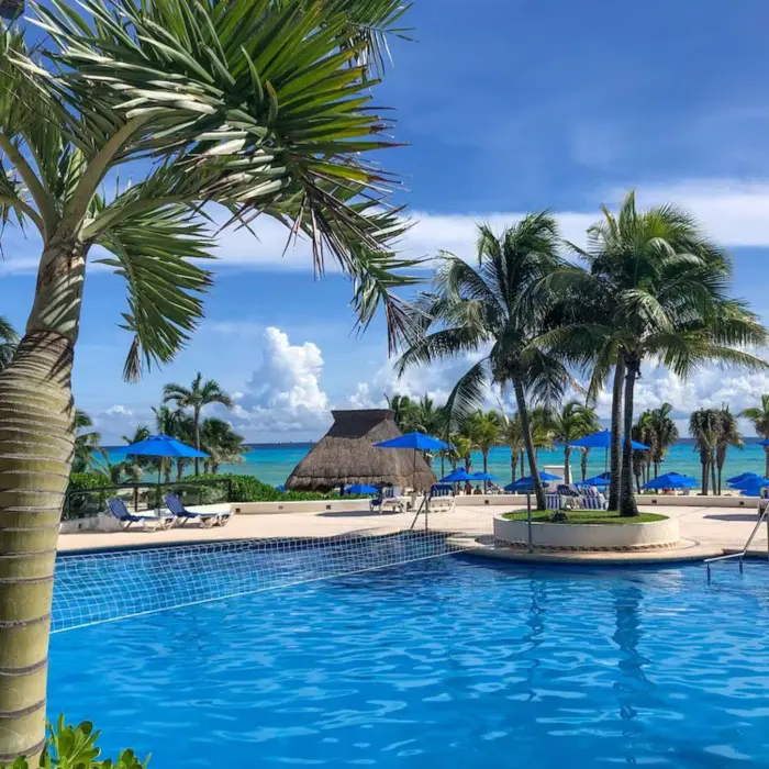 A vibrant blue swimming pool at The Reef Playacar, framed by palm trees, with lounge chairs and the ocean visible in the background.