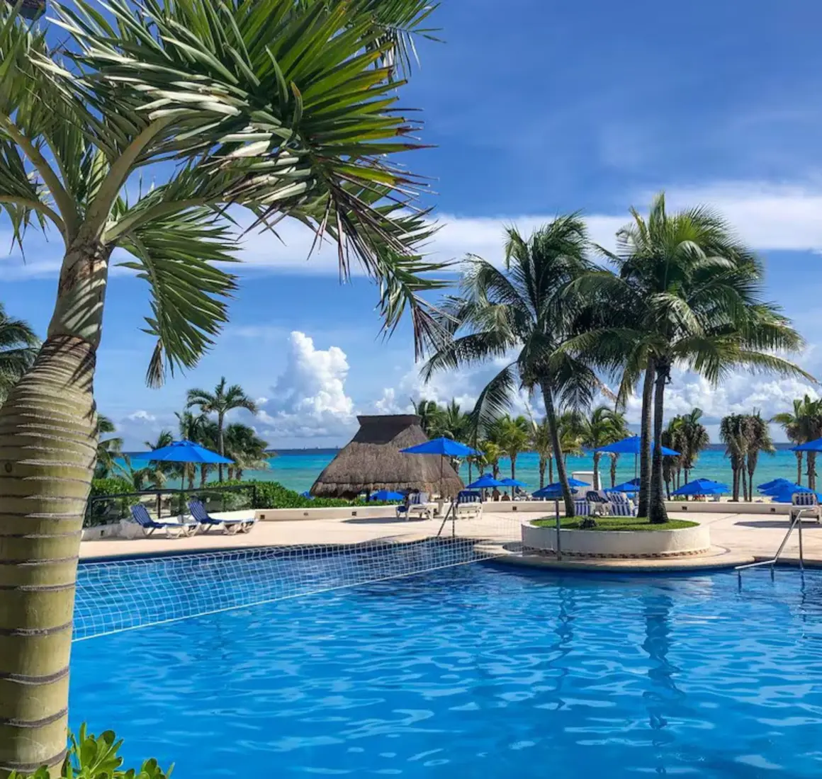 A vibrant blue swimming pool at The Reef Playacar, framed by palm trees, with lounge chairs and the ocean visible in the background.