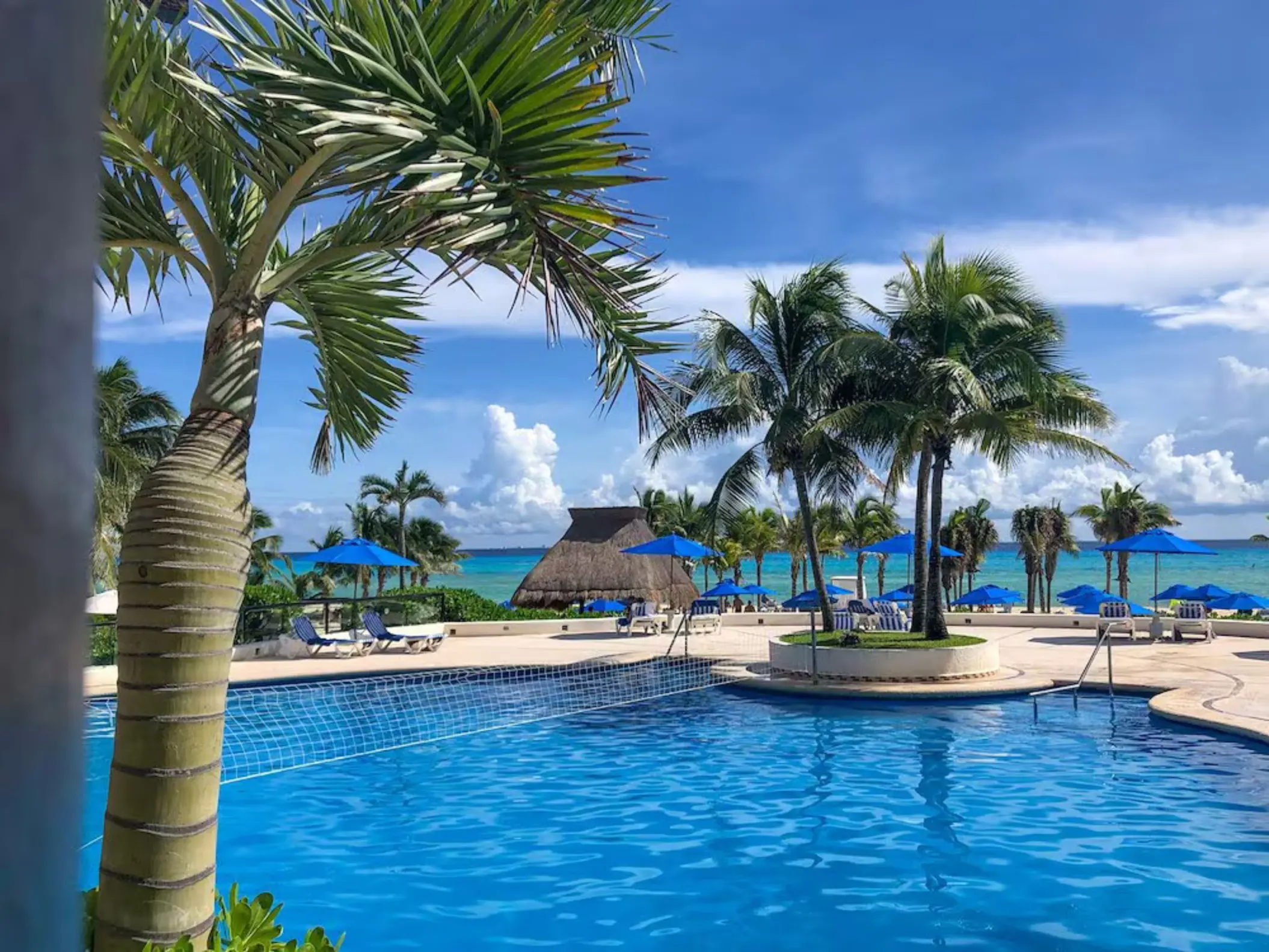 A vibrant blue swimming pool at The Reef Playacar, framed by palm trees, with lounge chairs and the ocean visible in the background.