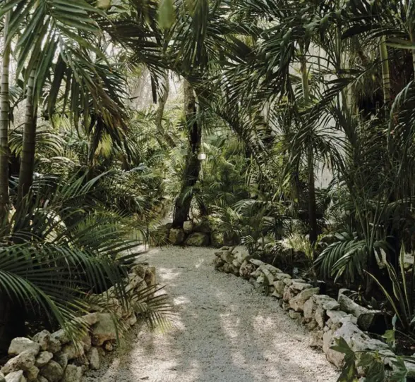 pathway lined with trees at Una Vida Tulum