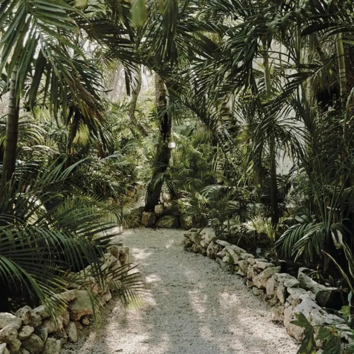 pathway lined with trees at Una Vida Tulum