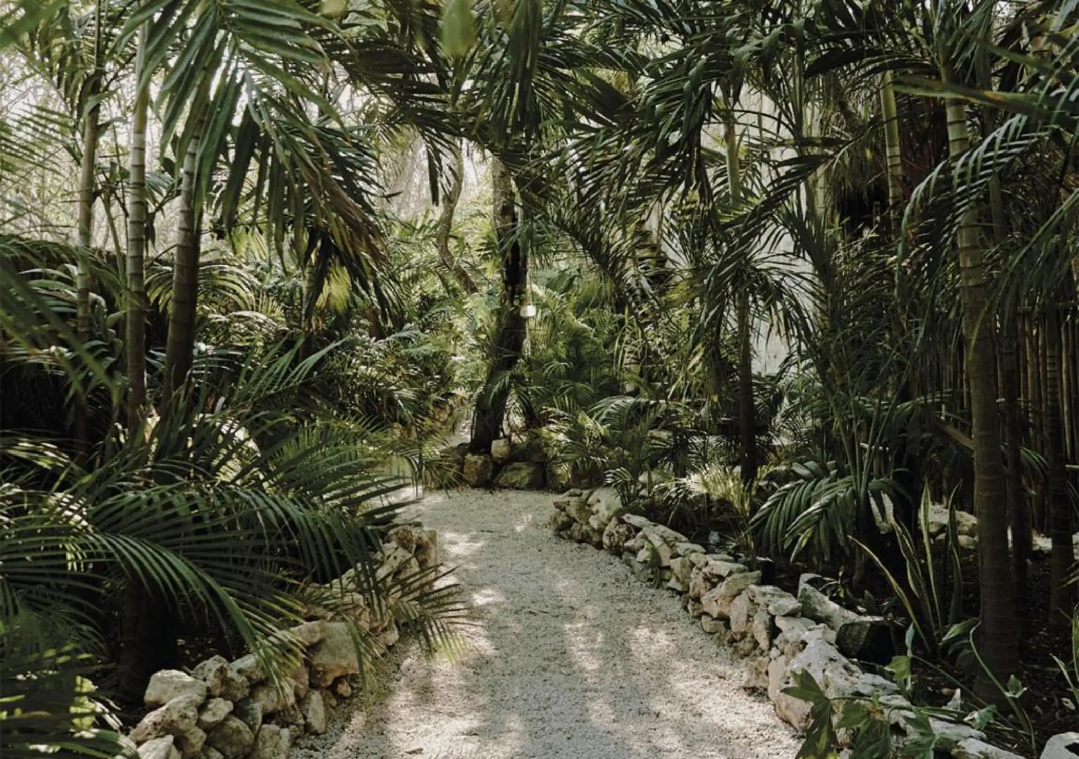 pathway lined with trees at Una Vida Tulum