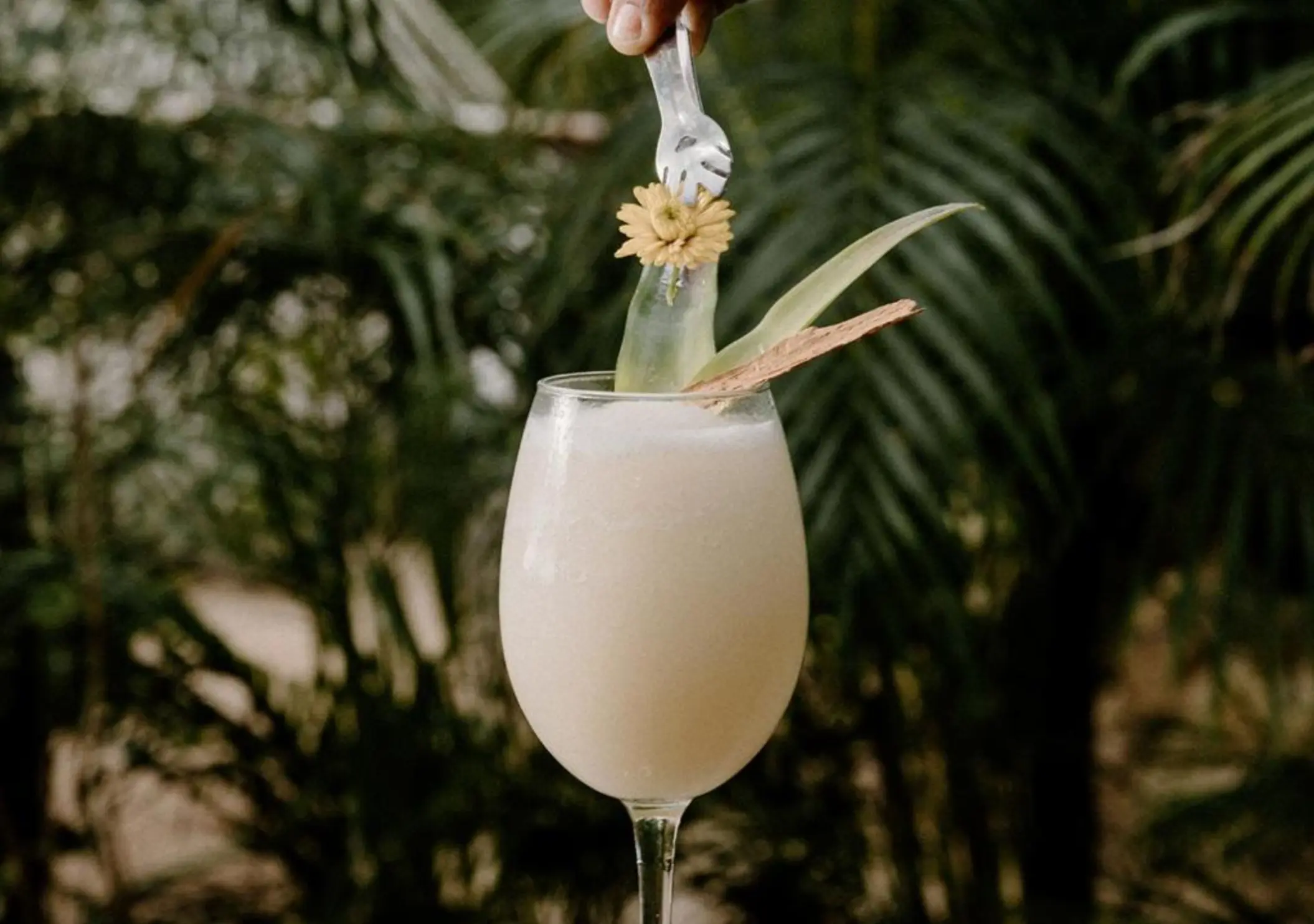 tropical drink at Una Vida Tulum