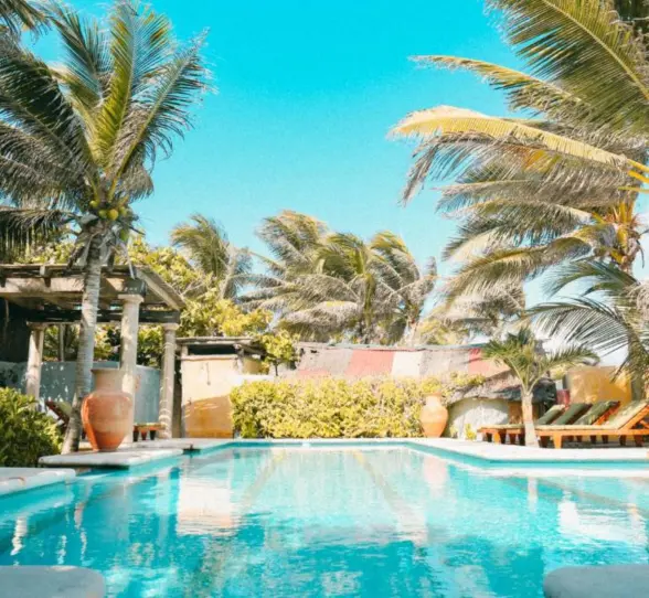 A bright blue swimming pool surrounded by palm trees and large decorative pots.