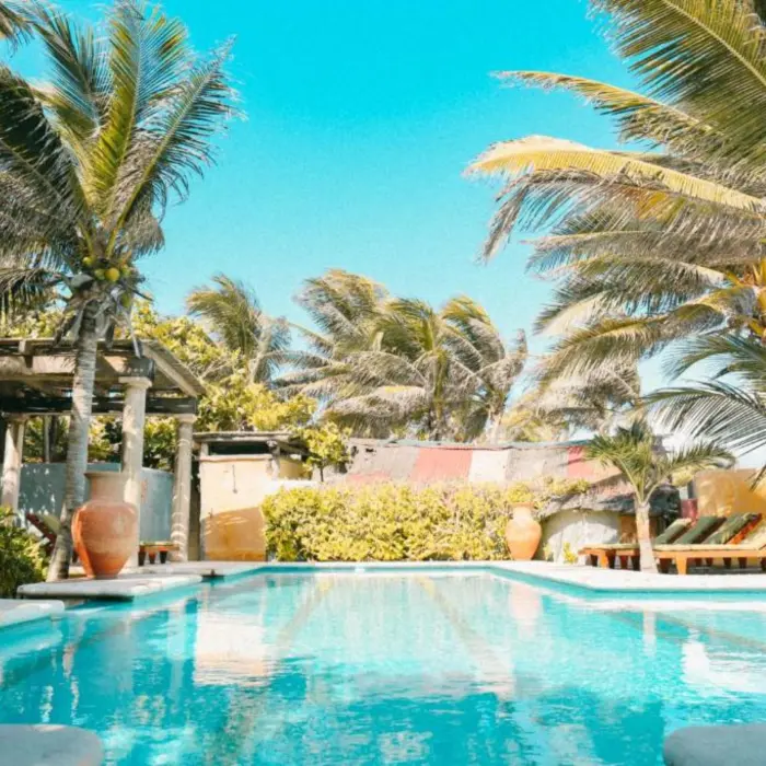 A bright blue swimming pool surrounded by palm trees and large decorative pots.