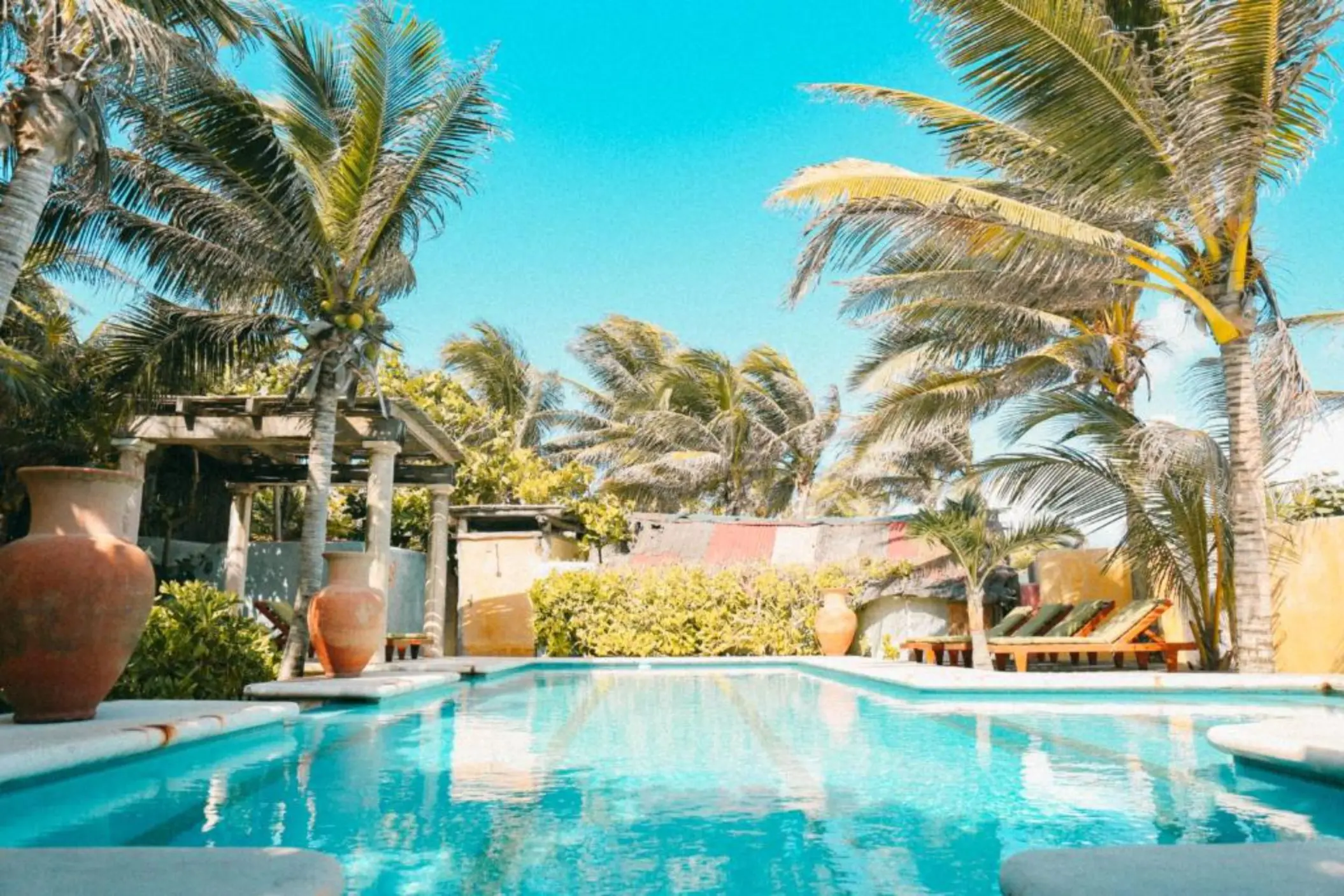 A bright blue swimming pool surrounded by palm trees and large decorative pots.