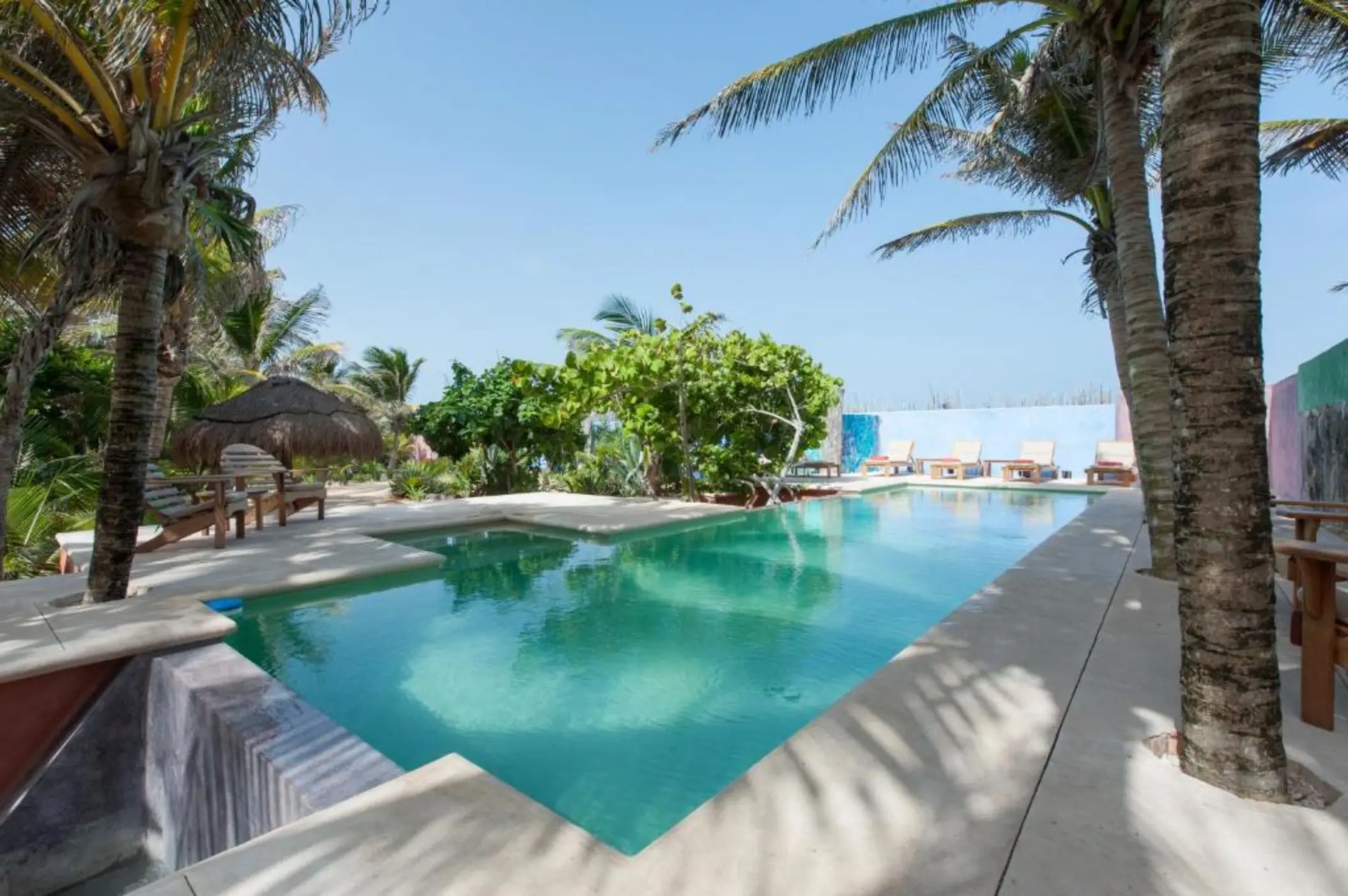 A tranquil turquoise swimming pool surrounded by lush green palm trees and lounge chairs.