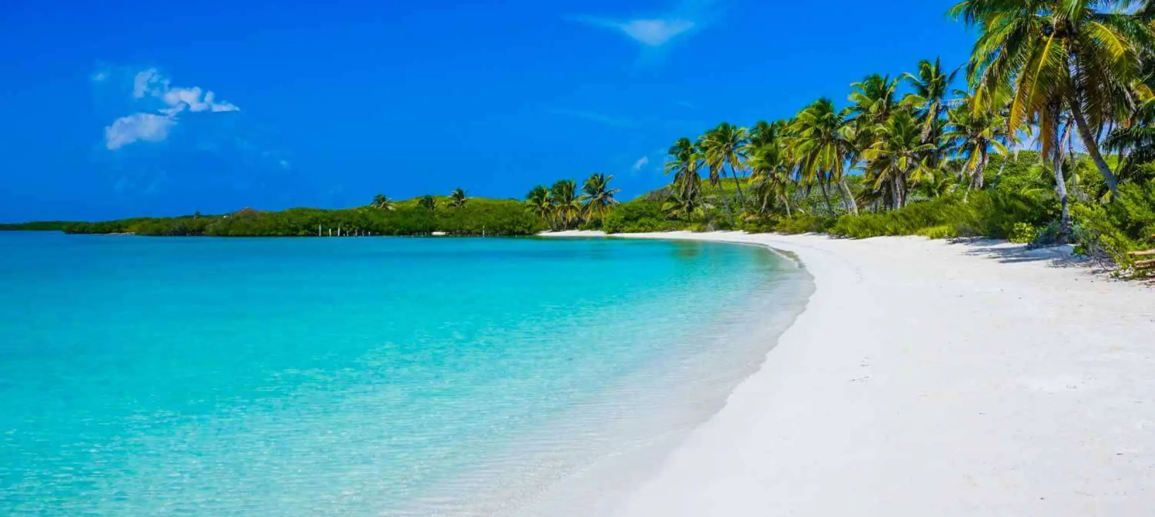 Isla Contoy