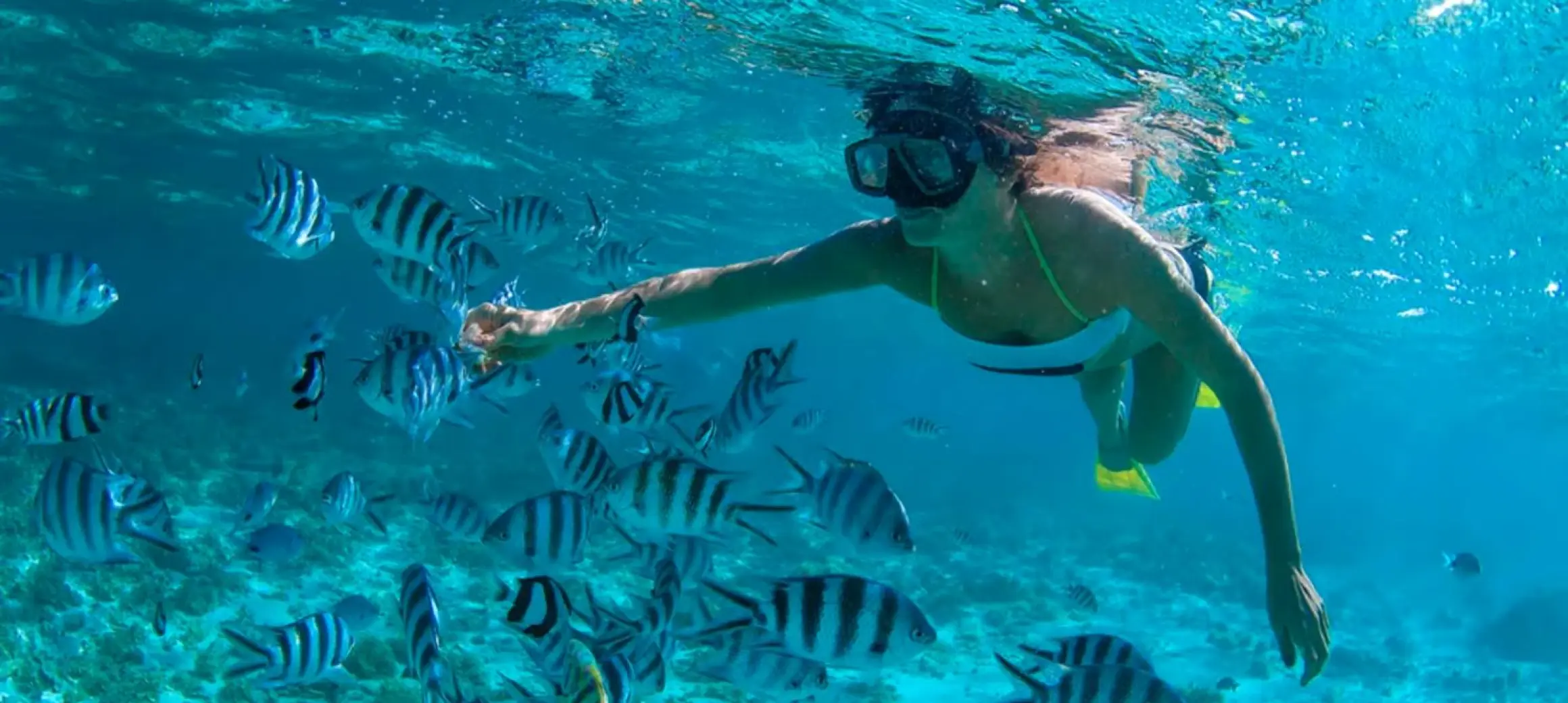 snorkeling in cozumel