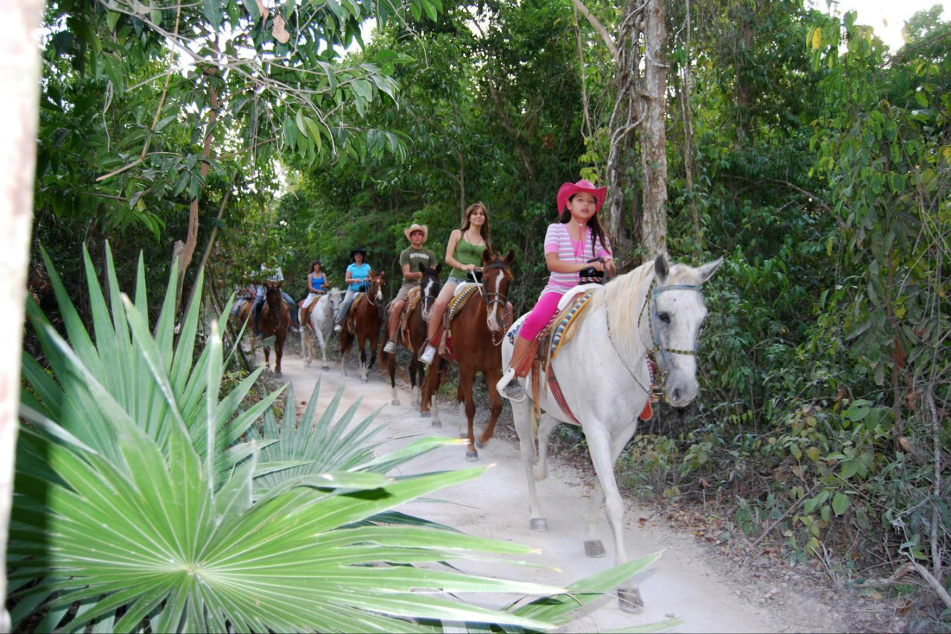 horse back riding playa del carmen