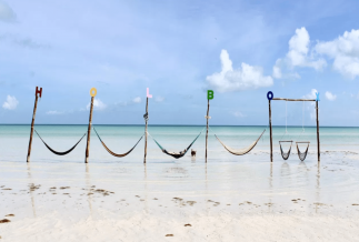 Isla Holbox day tour from the Riviera Maya and Playa del Carmen