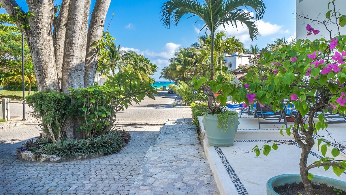 Casa de la Pescada Blanca condo rental